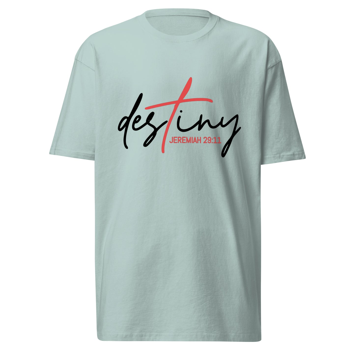 DESTINY premium heavyweight tee
