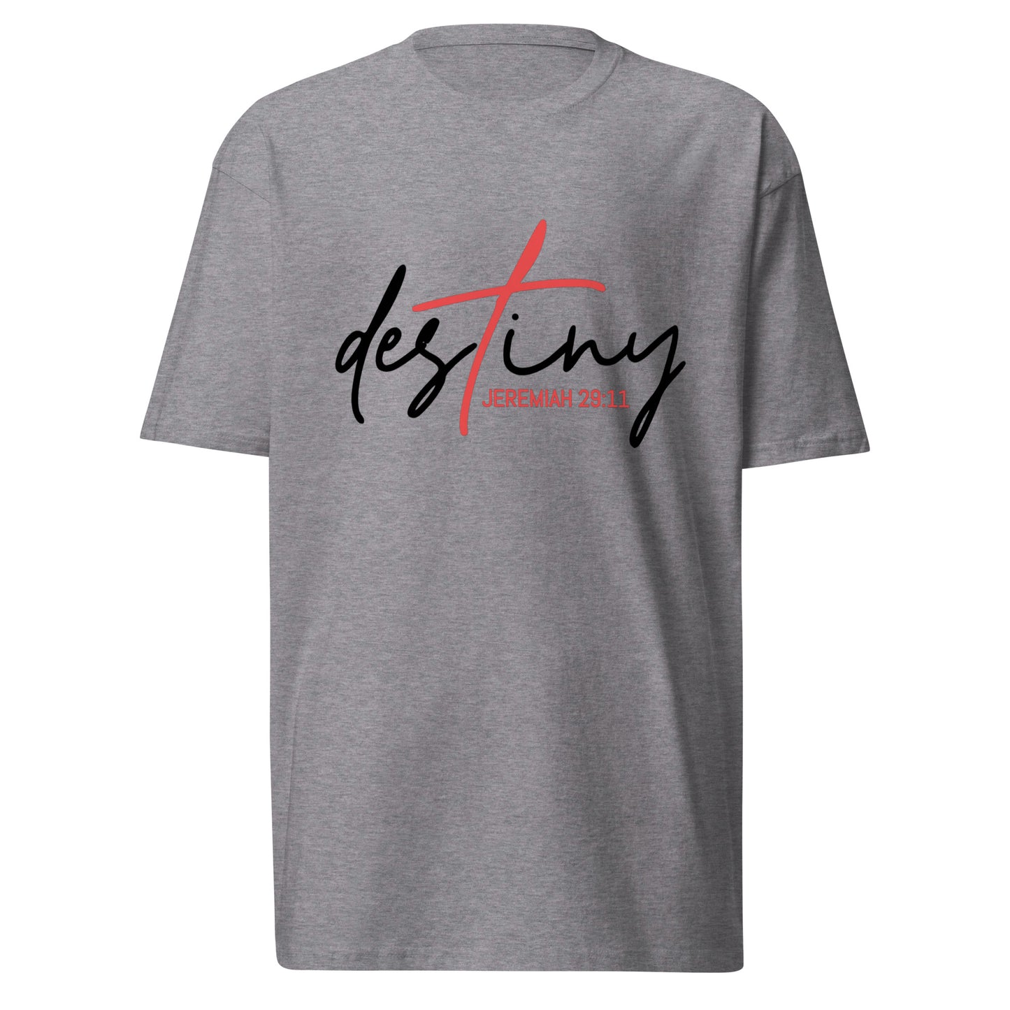 DESTINY premium heavyweight tee
