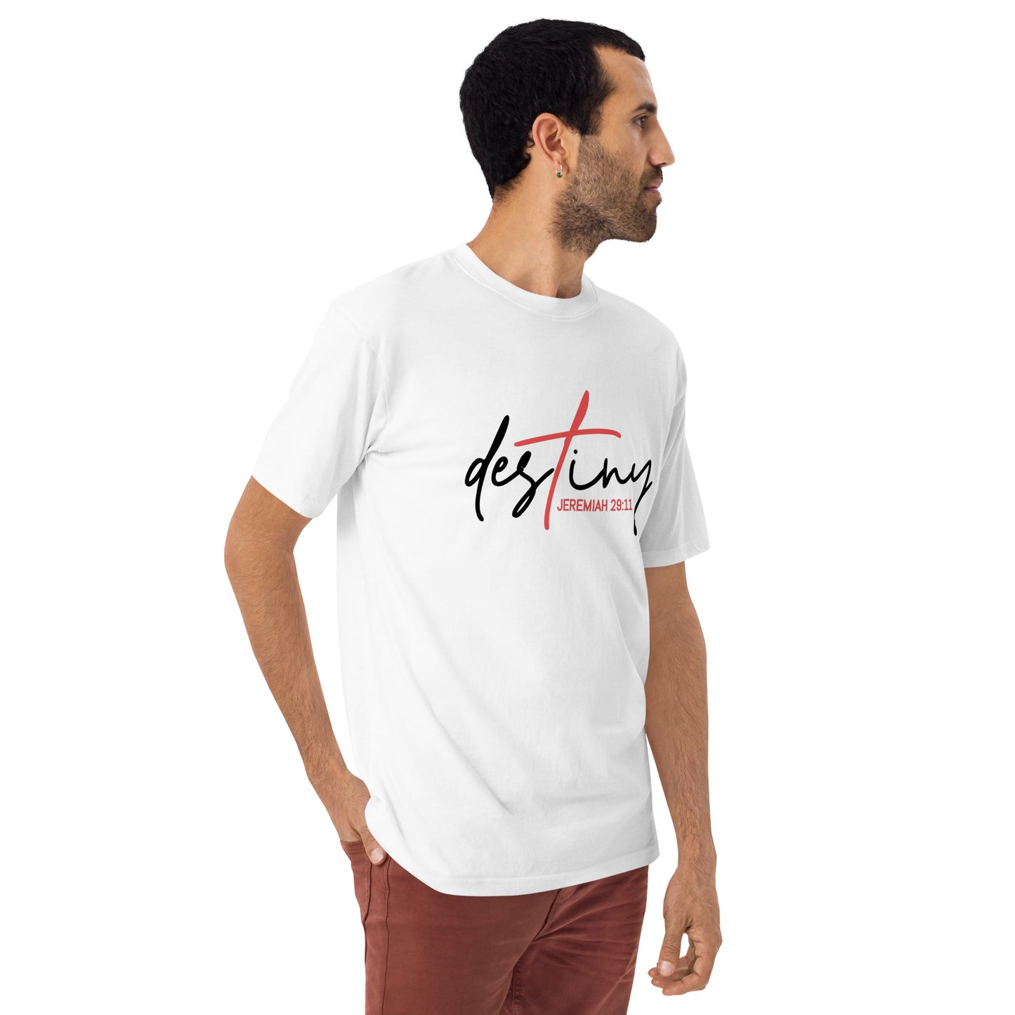 DESTINY premium heavyweight tee