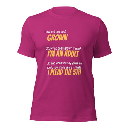 "I'm An Adult" Unisex t-shirt